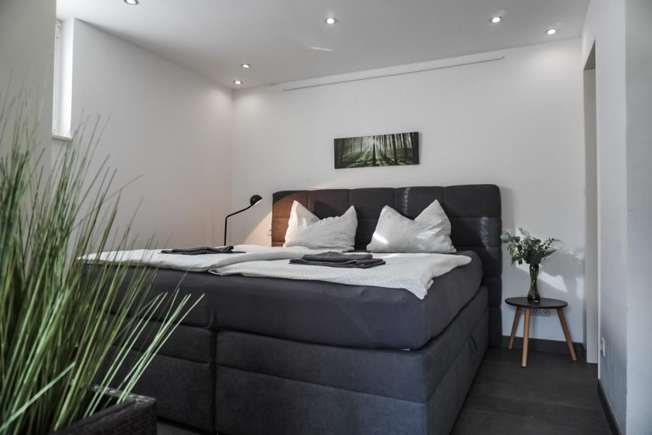Neu Gebautes Apartment Mit Sonnenterasse In Der Naehe Vom Siebengebirge & Bonn 柯尼希斯温特 外观 照片